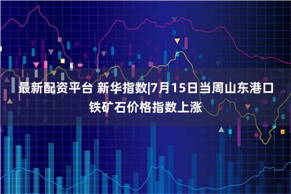 最新配资平台 新华指数|7月15日当周山东港口铁矿石价格指数上涨